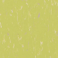 MCT 3655 orchid green